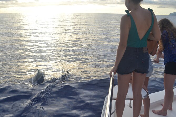 VipDolphins Luxury Whale Watching - Snacks, champagne-style drinks, and the small touches that matter