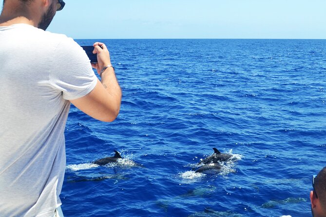 VipDolphins Luxury Whale Watching - The crew’s role: friendly, hands-on, and quick with answers