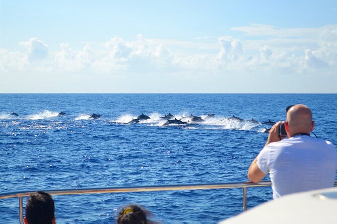 VipDolphins Luxury Whale Watching - Sea conditions: how to prepare so the ride stays enjoyable
