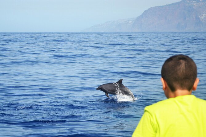 VipDolphins Luxury Whale Watching - Price and value: is $95.53 a good deal?
