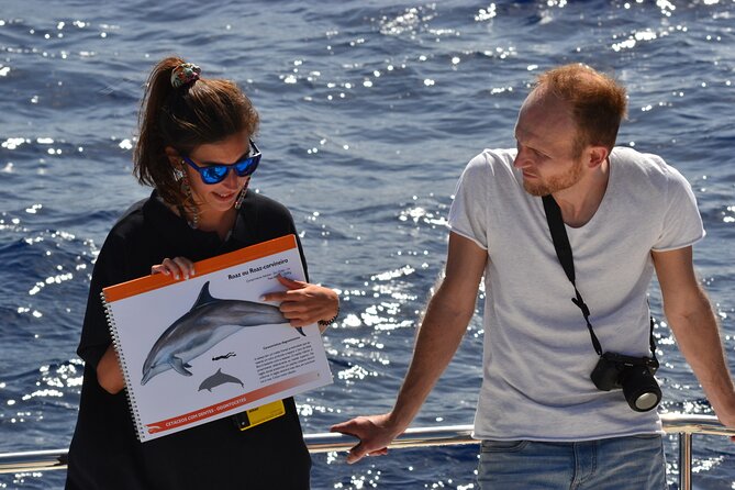 VipDolphins Luxury Whale Watching - First leg out at sea: spotting dolphins and whales the fun way