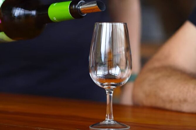 Visiting local Vineyard With Wine Tasting & Lunch included - São Vicente vineyard tour: wine culture, enologist, tasting, and tapa
