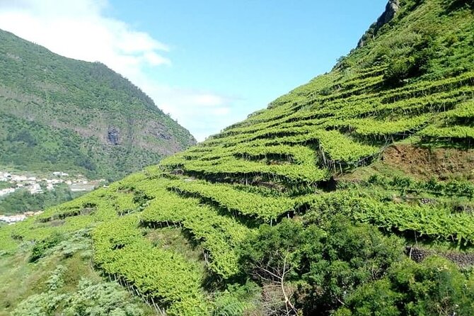 Visiting local Vineyard With Wine Tasting & Lunch included - Seixal after lunch: coastal scenery and vineyard slopes