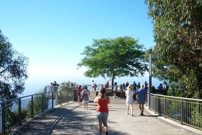 West Tour - Ribeira Brava, Encumeada PR12, and Mountain Views That Mean Business