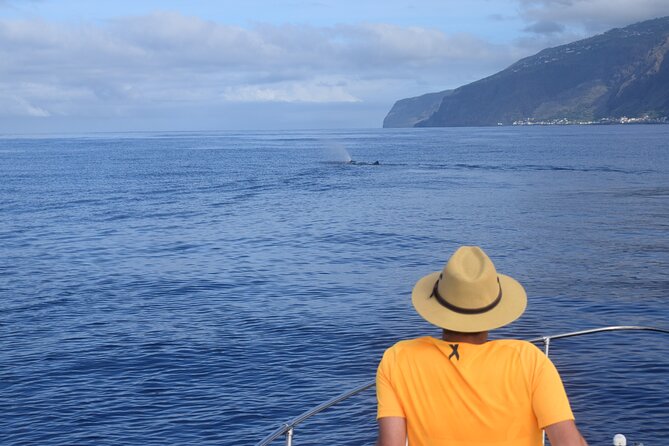 Whale and Dolphin Watching Tour in Madeira - Departure Times and the Sunset Option (Including the Whale-Watching Rule)