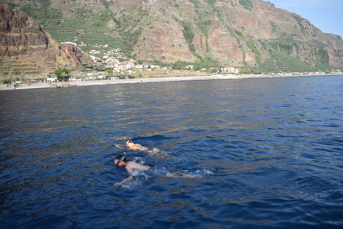 Whale and Dolphin Watching Tour in Madeira - The Meeting Point Detail That Can Save Your Trip