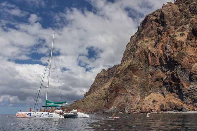Wines Tasting Experience and Skywalk with Dolphin Watching - The Morning Schedule: Transfers, Wi‑Fi, and Small-Group Attention