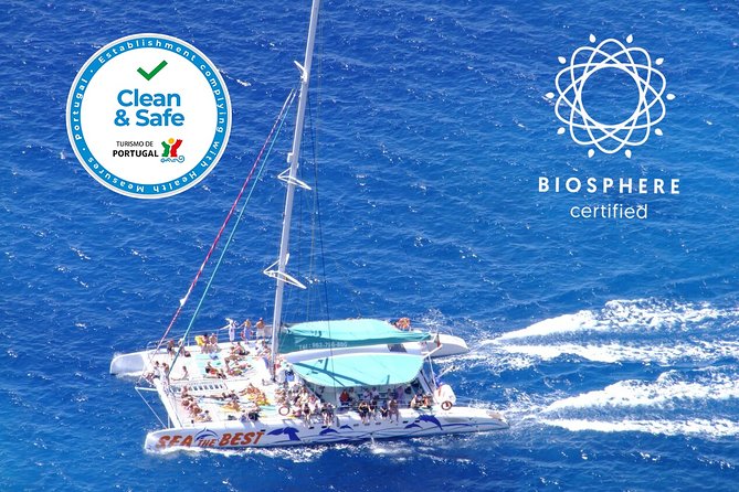 Wines Tasting Experience and Skywalk with Dolphin Watching - Dolphin and Whale Watching Cruise: 3:00–6:00 pm on the Water